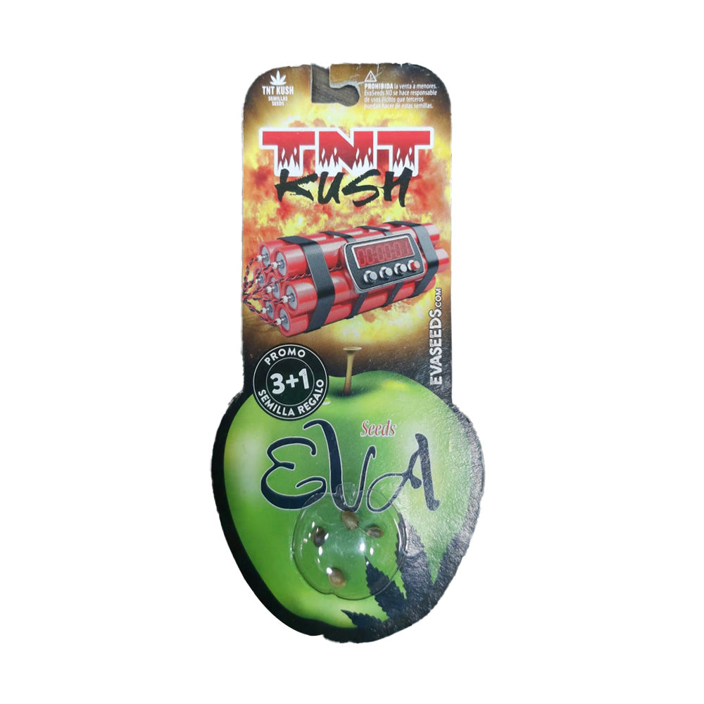 TNT KUSH X3 FEM EVA SEEDS