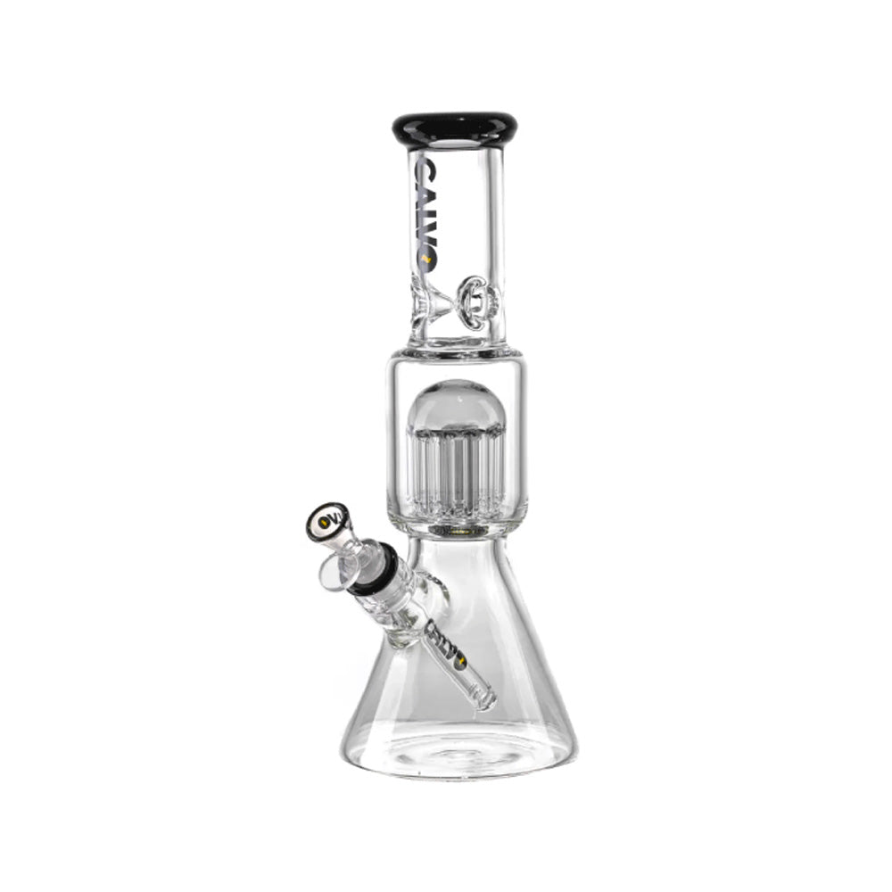 BEAKER TREE PERC NEGRO CALVO