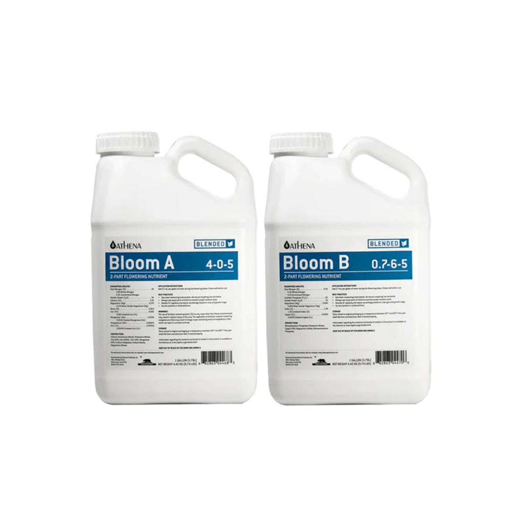BLOOM A+B 3.78L ATHENA