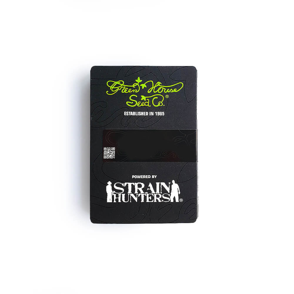 KALASHNIKOVA AUTO X1 GREEN HOUSE SEEDS