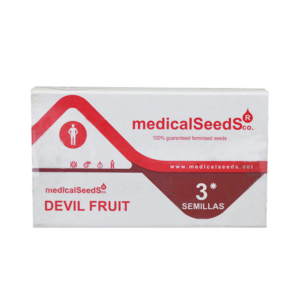DEVIL FRUIT FEM X3 MEDICAL SEEDS
