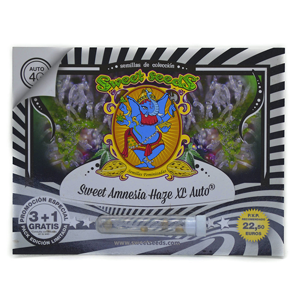 SWEET AMNESIA HAZE XL AUTO 3+1 SWEET SEEDS