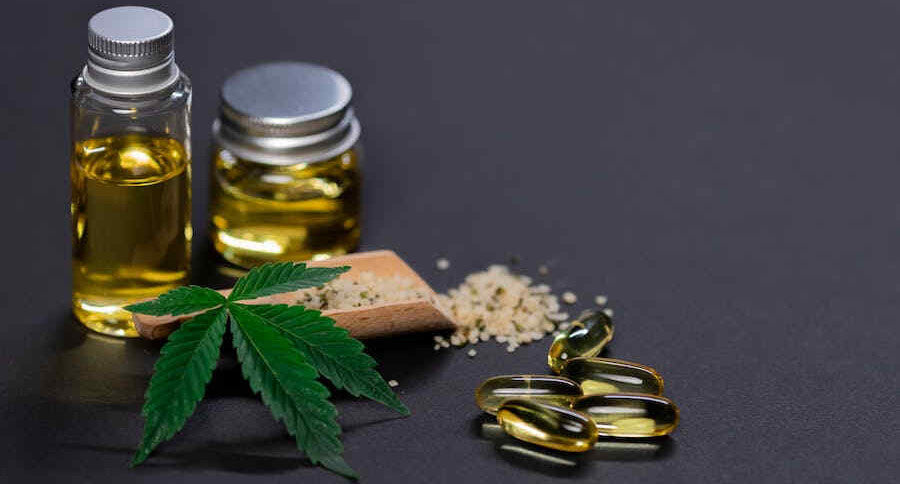 El rincón del cultivador | Consejos, productos y más en nuestro grow shop