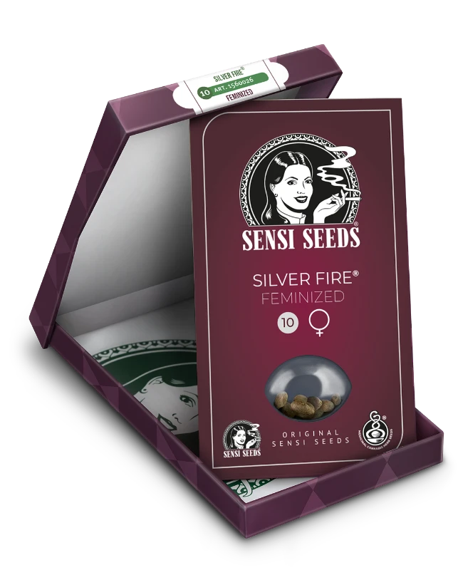SENSI SEEDS SILVER FIRE FEM 3UDS-1