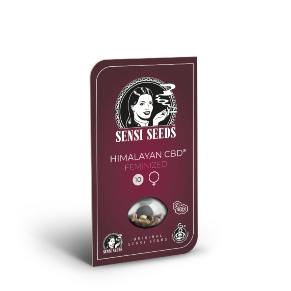 HIMALAYAN CBD FEM X3 - SENSI SEEDS