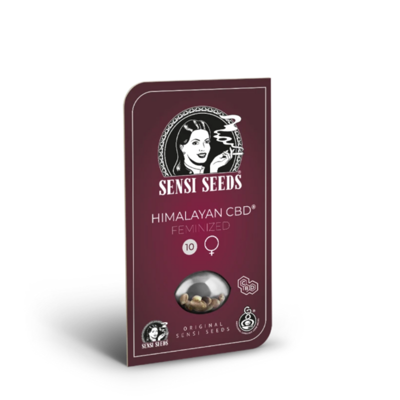 HIMALAYAN CBD FEM X3 - SENSI SEEDS-2