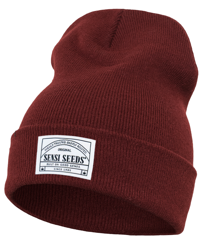 GORRO DE LANA MARRON SENSI SEEDS-1