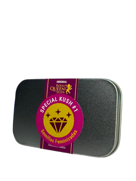 SPECIAL KUSH 1 FEM X100 ROYAL QUEENS SEEDS-2