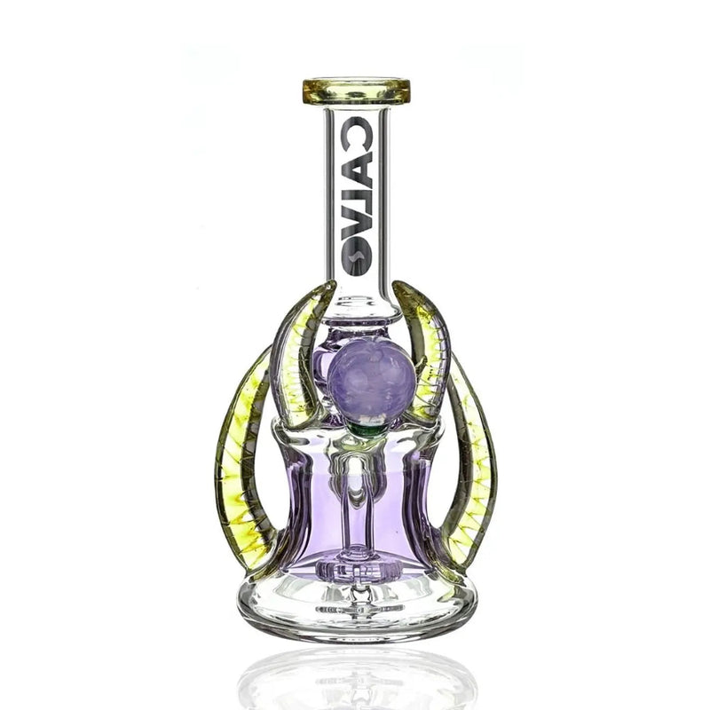 BONG FOUR HORN RIG PURPLE - CALVO-3