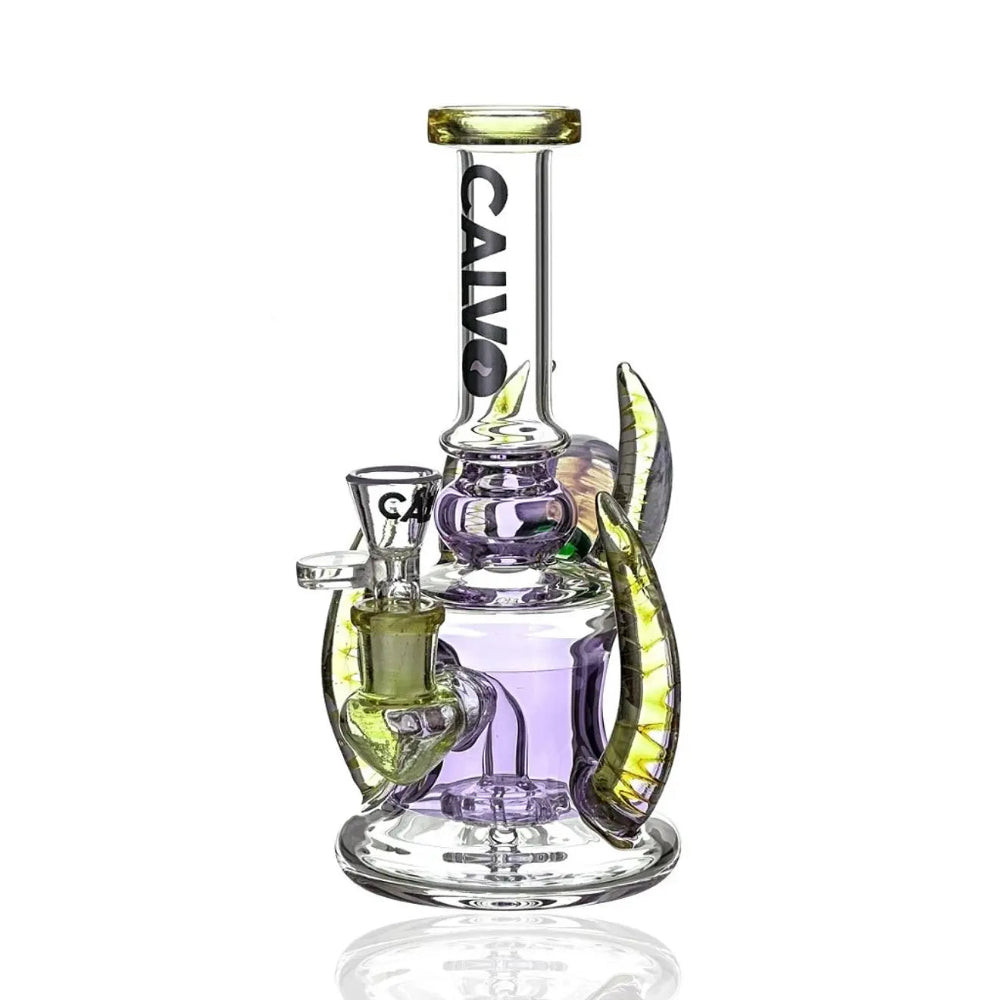 BONG FOUR HORN RIG PURPLE - CALVO