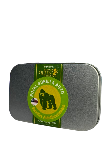 ROYAL GORILLA AUTO X100 ROYAL QUEEN SEEDS-2