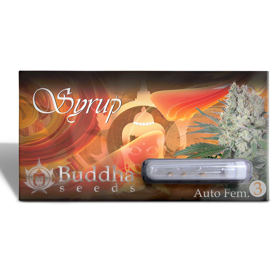 SYRUP AUTO 3+1 - BUDDHA SEEDS-4