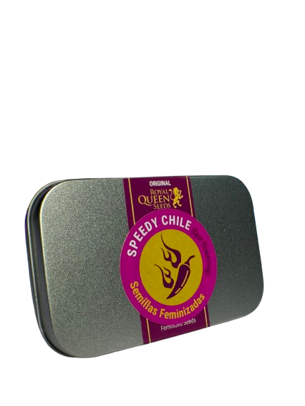 SPEEDY CHILE FAST X100 ROYAL QUEEN SEEDS-2