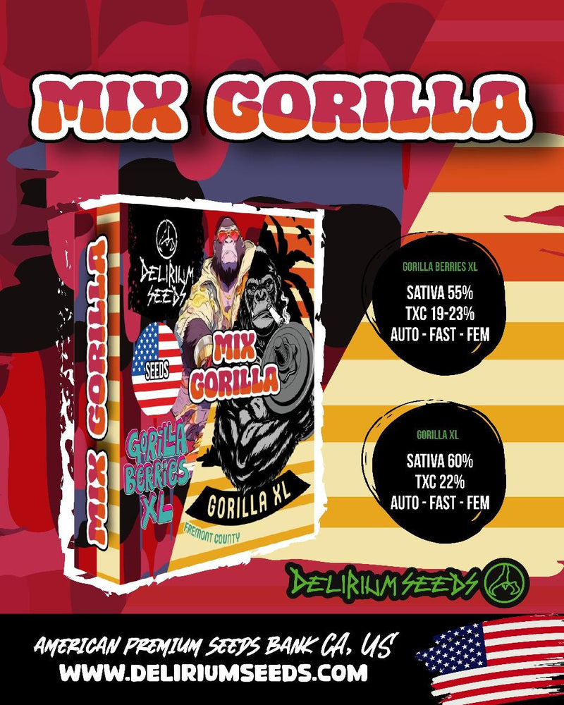 MIX GORILLA XL FAST X8 DELIRIUM SEEDS-4