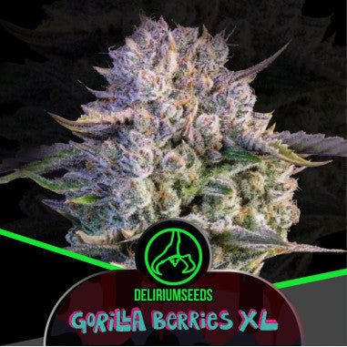 MIX GORILLA XL FEM X14 DELIRIUM SEEDS