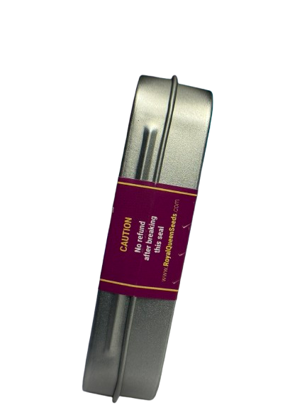 WHITE WIDOW FEM x100 ROYAL QUEEN SEEDS