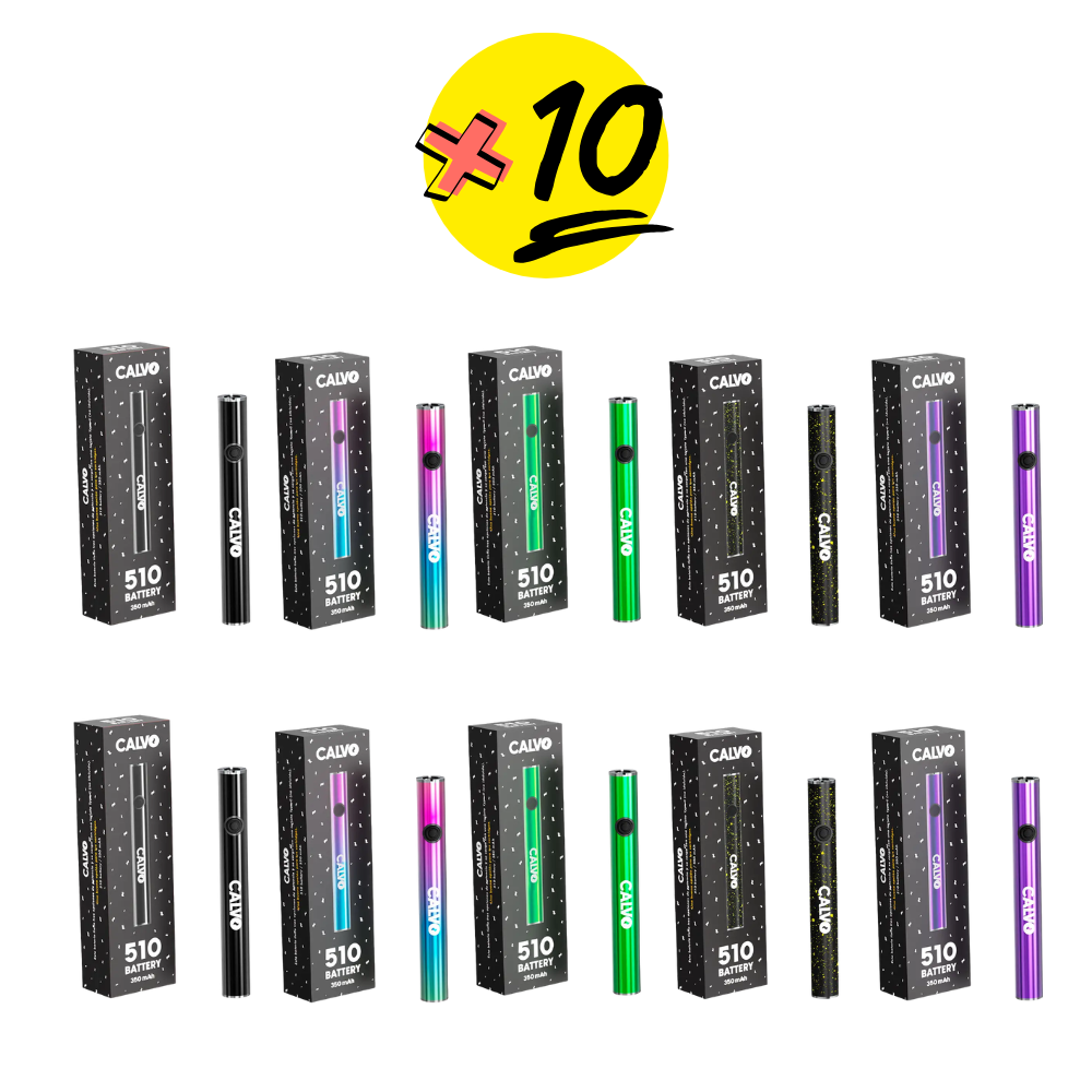 BATERIAS CALVO 510 PACK X10 COLORES SURTIDOS - CALVO