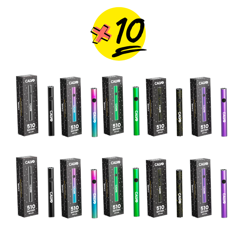 BATERIAS CALVO 510 PACK X10 COLORES SURTIDOS - CALVO-1