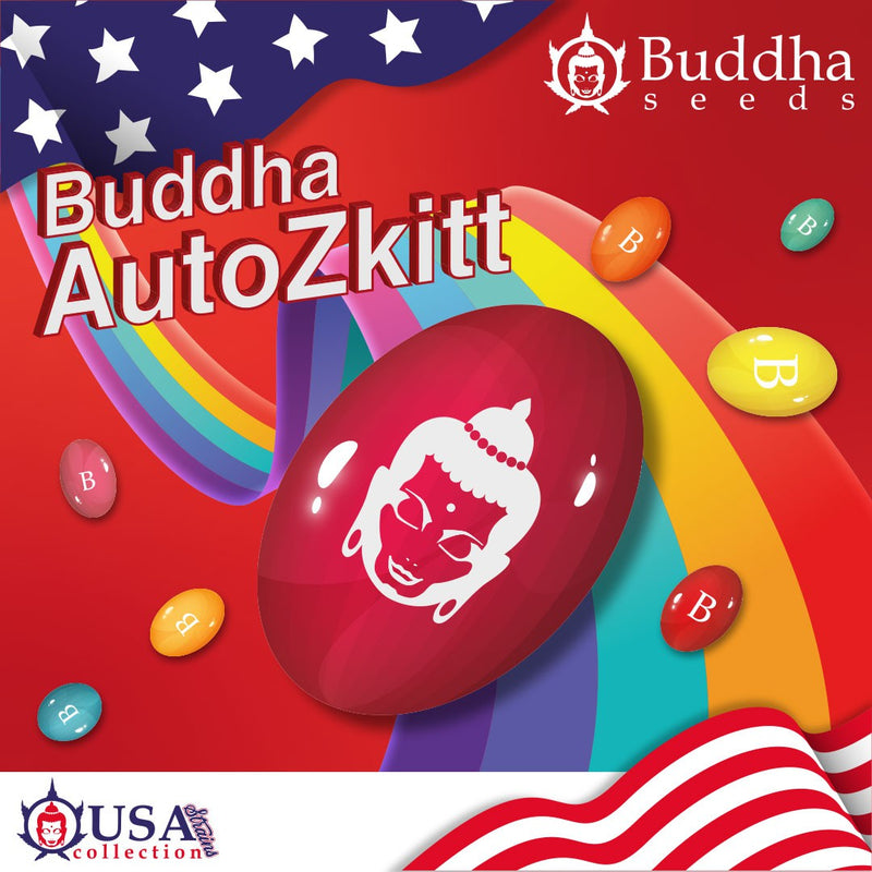 ZKITT AUTO X3 BUDDHA SEEDS-1