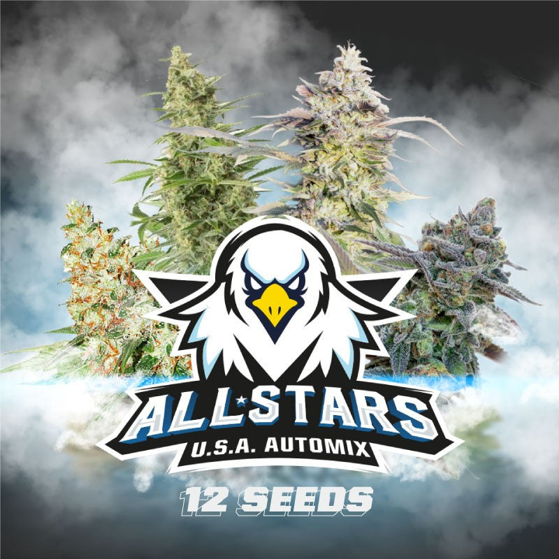 ALL STARS AUTO MIX X12 BSF SEEDS