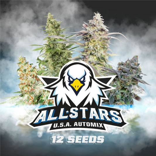 ALL STARS AUTO MIX X12 BSF SEEDS