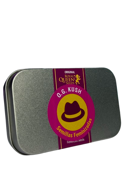 OG KUSH FEM X100 ROYAL QUEEN SEEDS