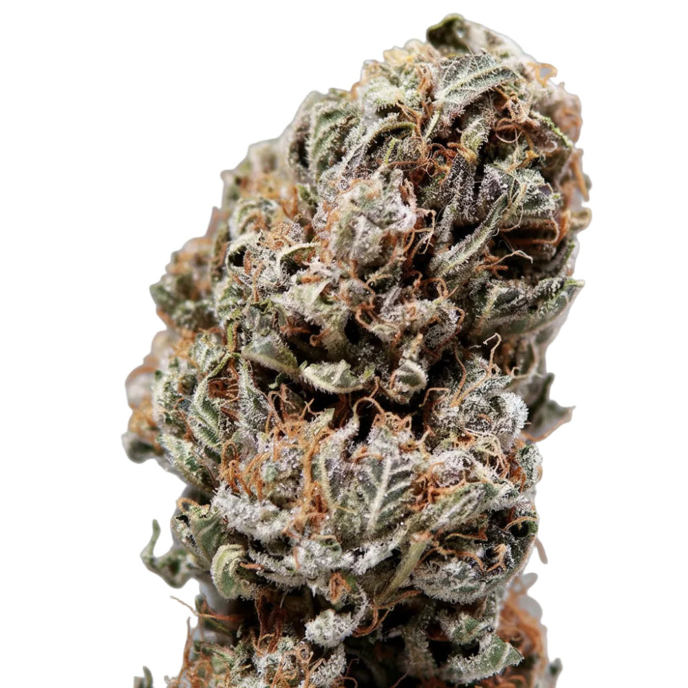 SYRUP AUTO 3+1 - BUDDHA SEEDS-3