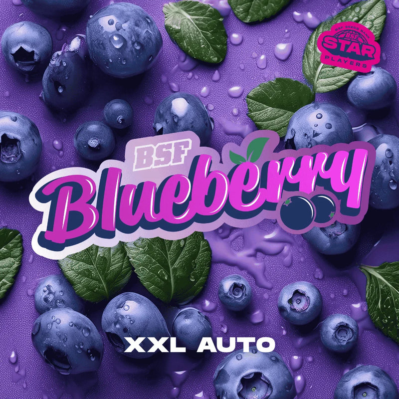 BLUEBERRY XXL AUTO X 12 BSF SEEDS-4
