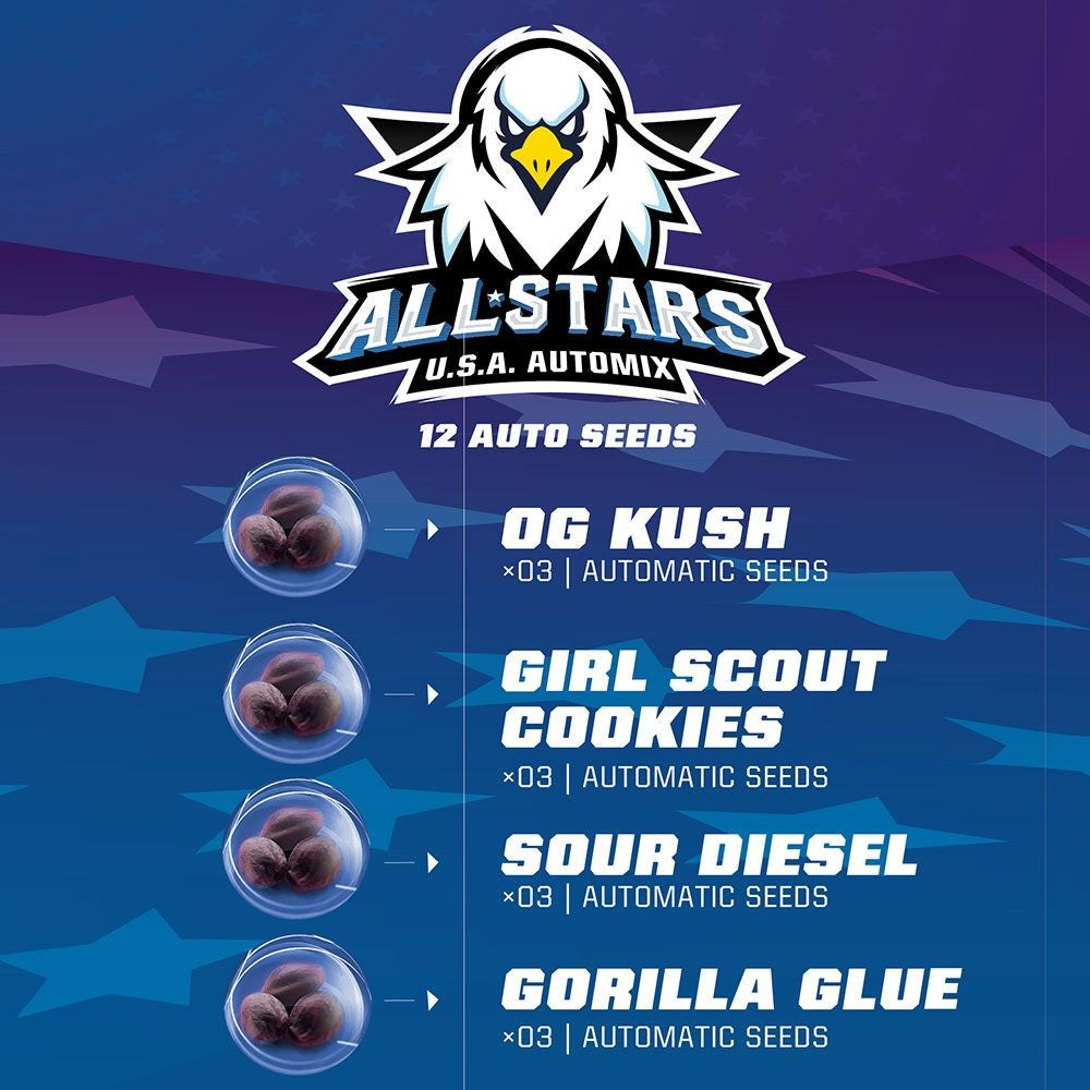 ALL STARS AUTO MIX X12 BSF SEEDS