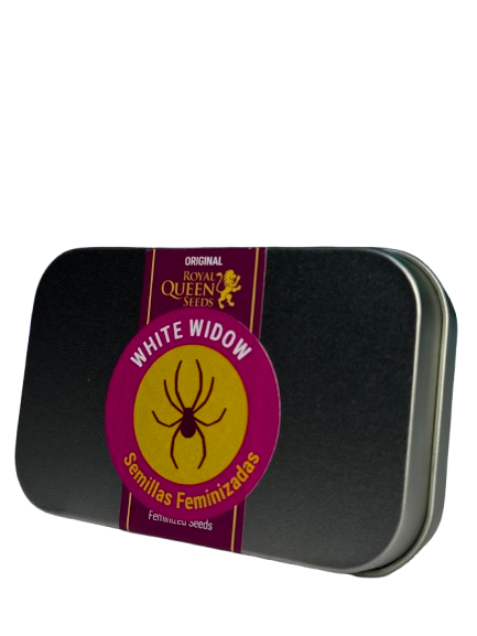 WHITE WIDOW FEM x100 ROYAL QUEEN SEEDS