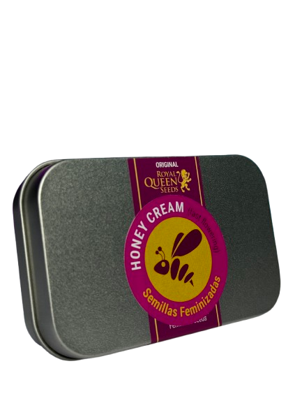 HONEY CREAM FAST X100 ROYAL QUEEN SEEDS-2