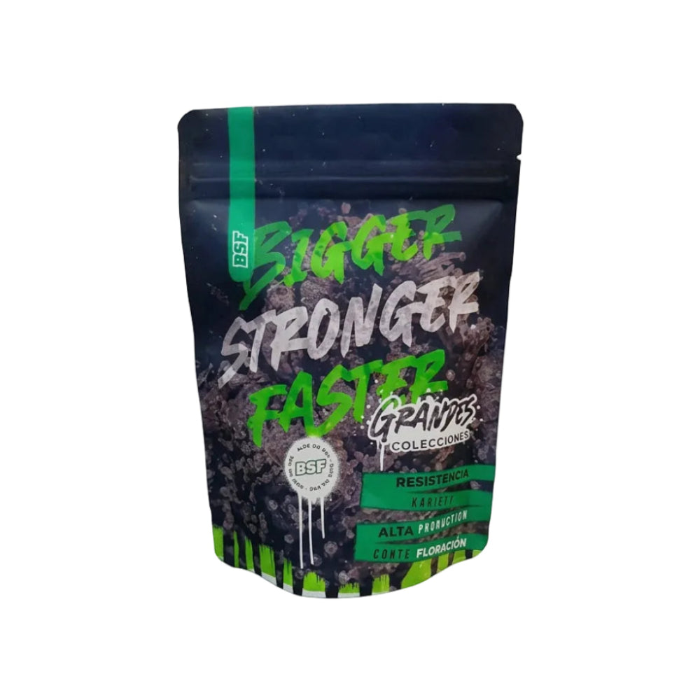 GORILLA GLUE FASTER X500 - BSF SEEDS-2