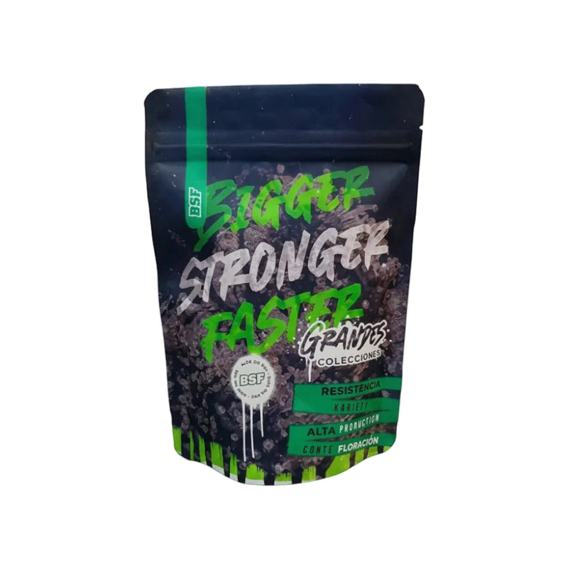 GORILLA GLUE FASTER X500 - BSF SEEDS-2