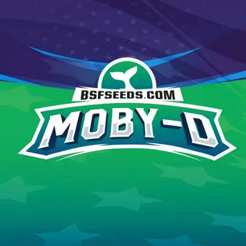 MOBY-D XXL AUTO X12 BSF SEEDS