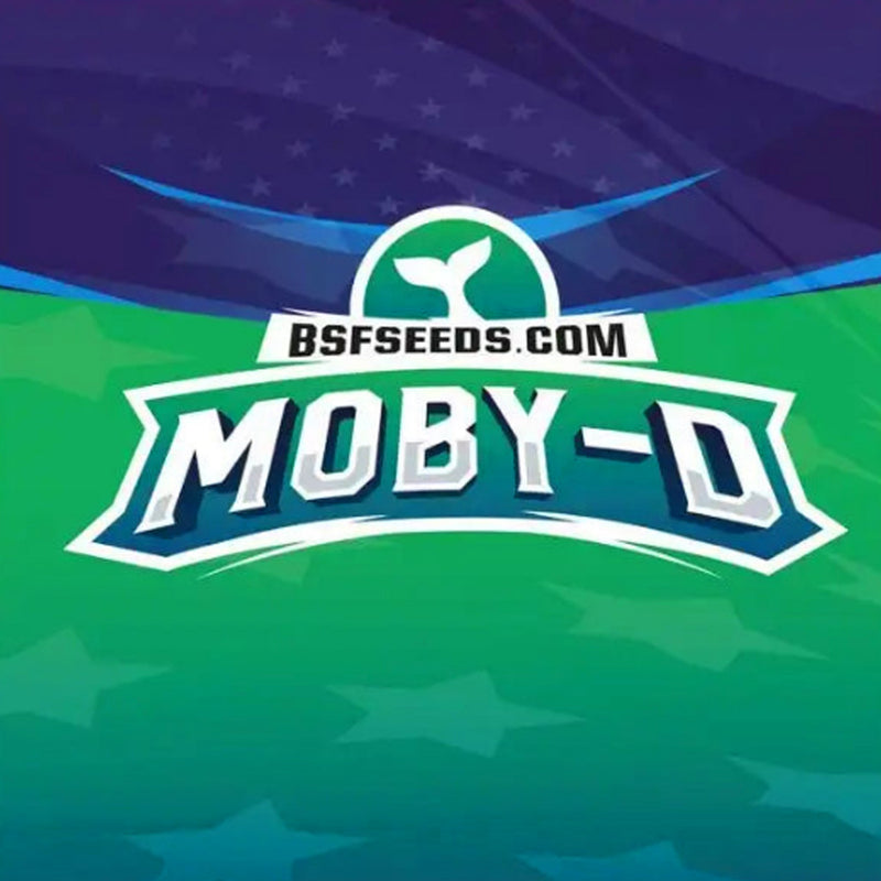 MOBY-D XXL AUTO X12 BSF SEEDS-4