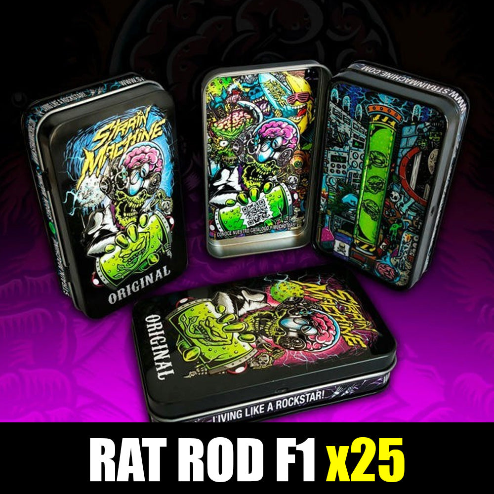 RAT ROD FAST VERSION X25 STRAIN MACHINE-1