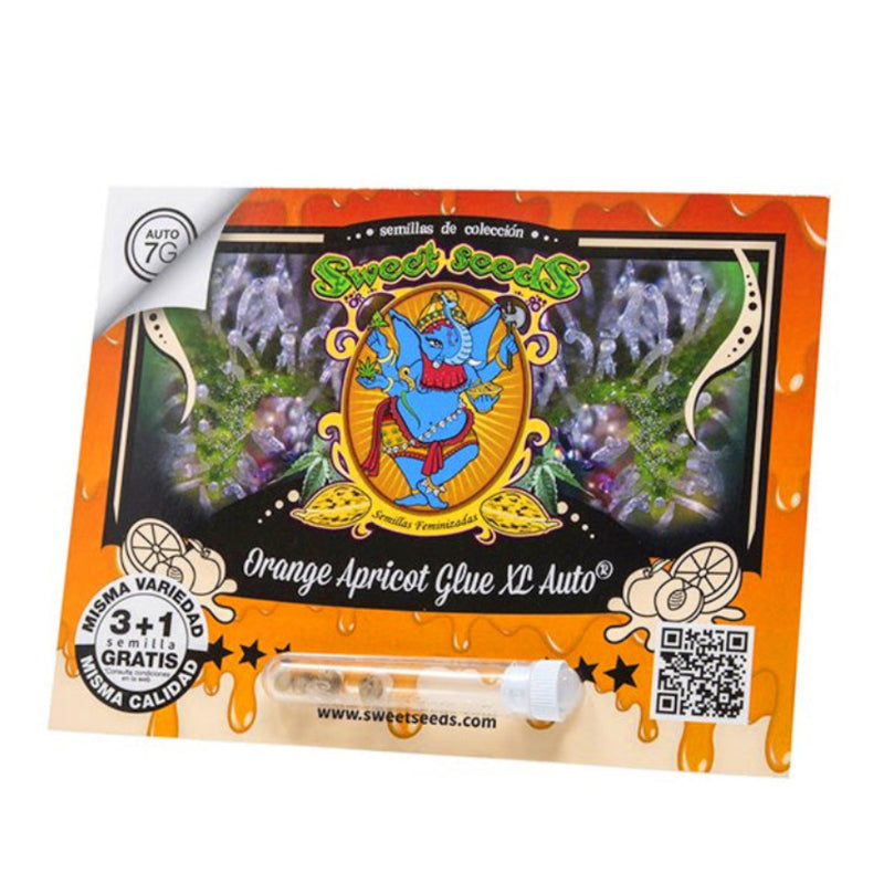 ORANGE APRICOT GLUE XL AUTO X3+1 - SWEET SEEDS-2