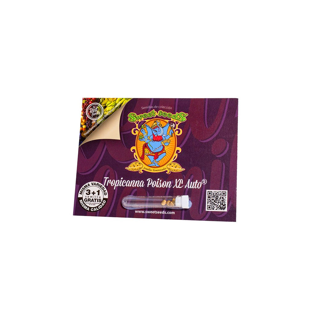 TROPICANNA POISON XL AUTO 3+1 SWEET SEEDS
