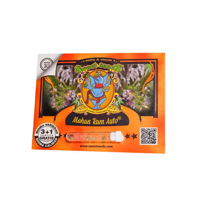 MOHAN RAM AUTO X3+1 - SWEET SEEDS-2