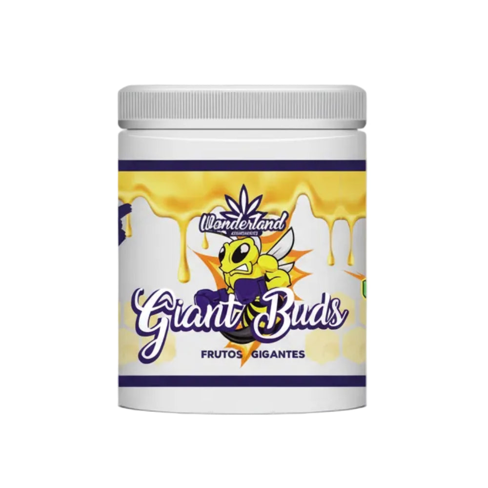 GIANT BUDS PK 52-34 / 500G - WONDERLAND