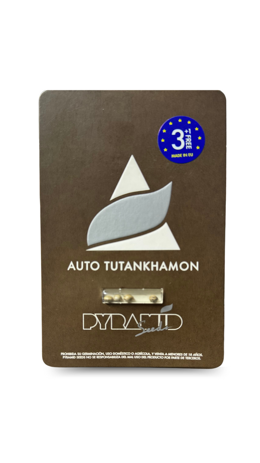 AUTO TUTANKHAMON 3+1 PYRAMID SEEDS