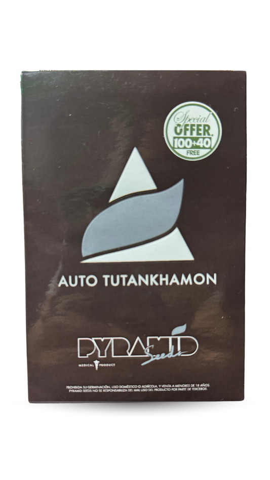 AUTO TUTANKHAMON x100+40 PYRAMID SEEDS