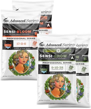 SENSI GROW A+B PRO 1KG