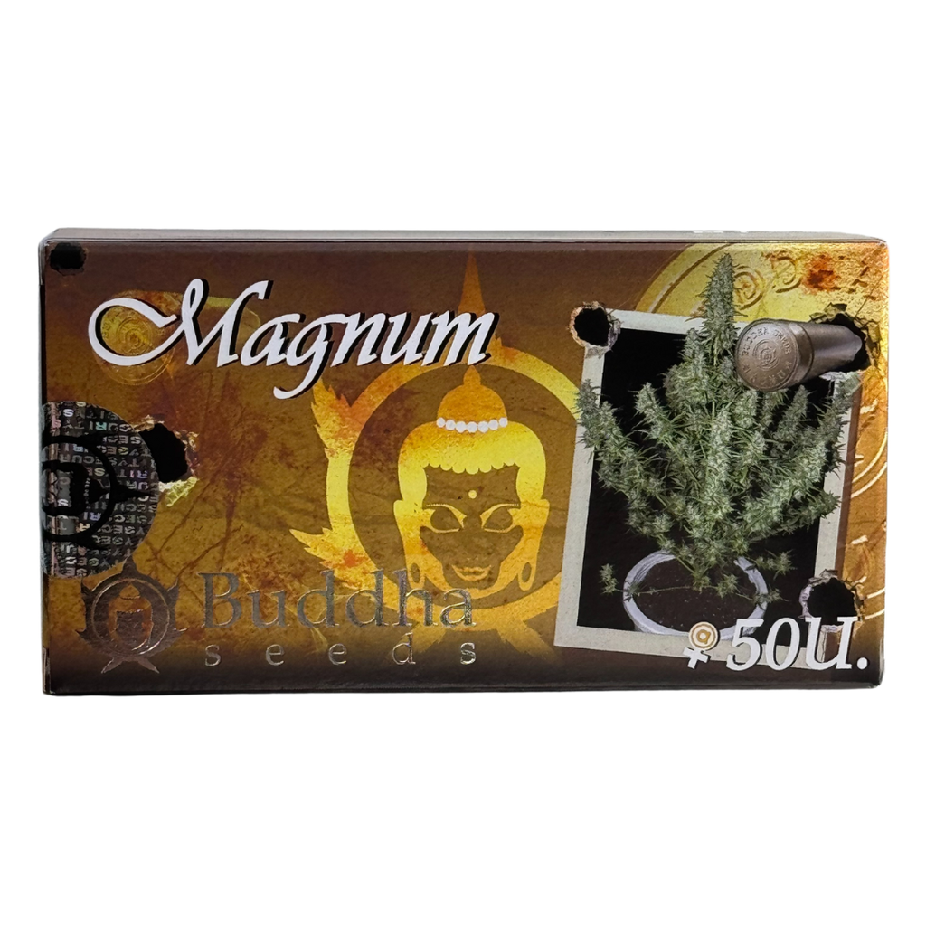 MAGNUM AUTO X50 BUDDHA SEEDS