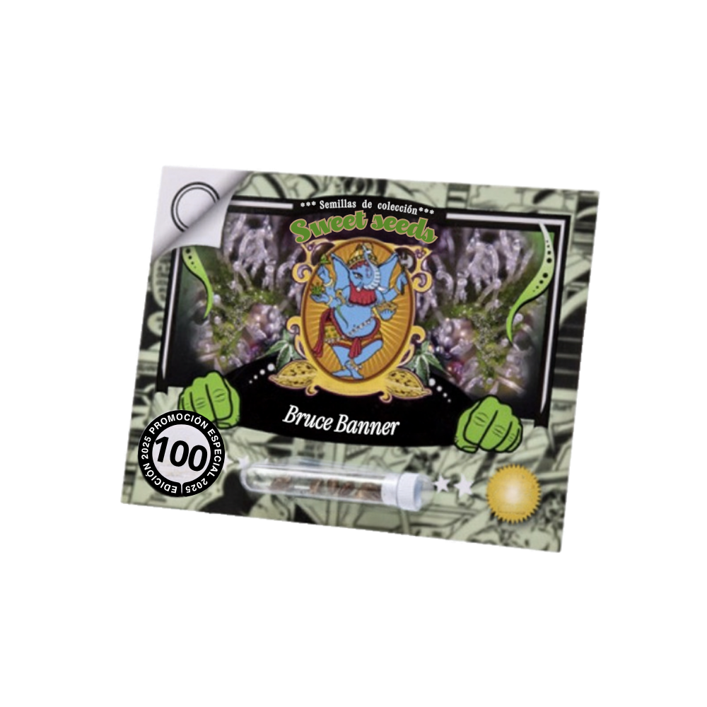 BRUCE BANNER FEM X100 - SWEET SEEDS