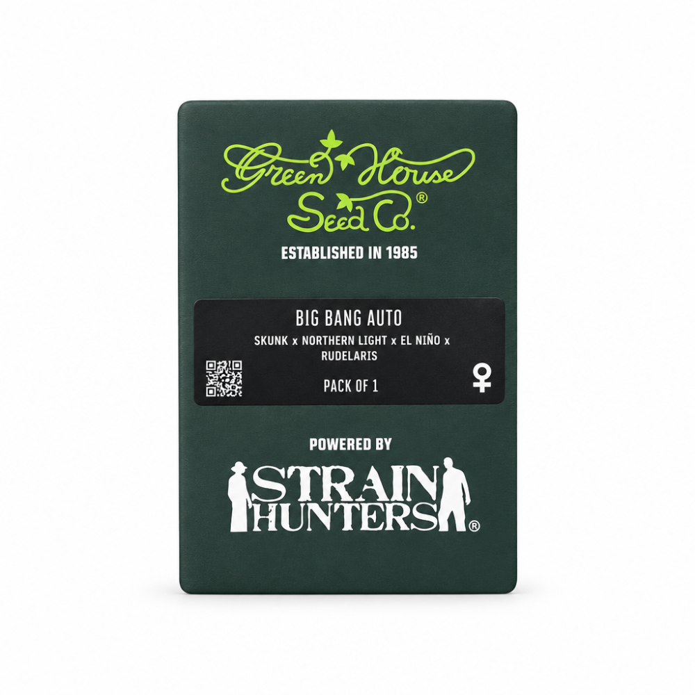 BIG BANG AUTO X1 - GREEN HOUSE SEED