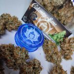 BUDDHA CALAMITY JANE AUTO 3+1 BUDDHA SEEDS-2