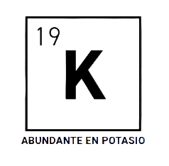 VGN 2-2-4 1L - ATAMI