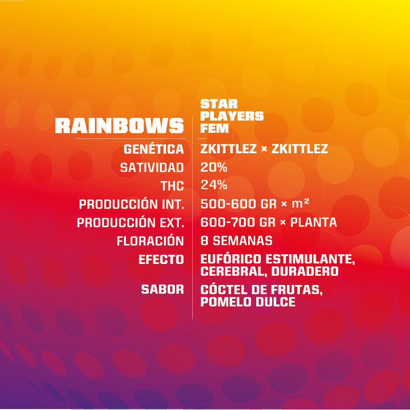 RAINBOWS FEM X4 BSF SEEDS-2