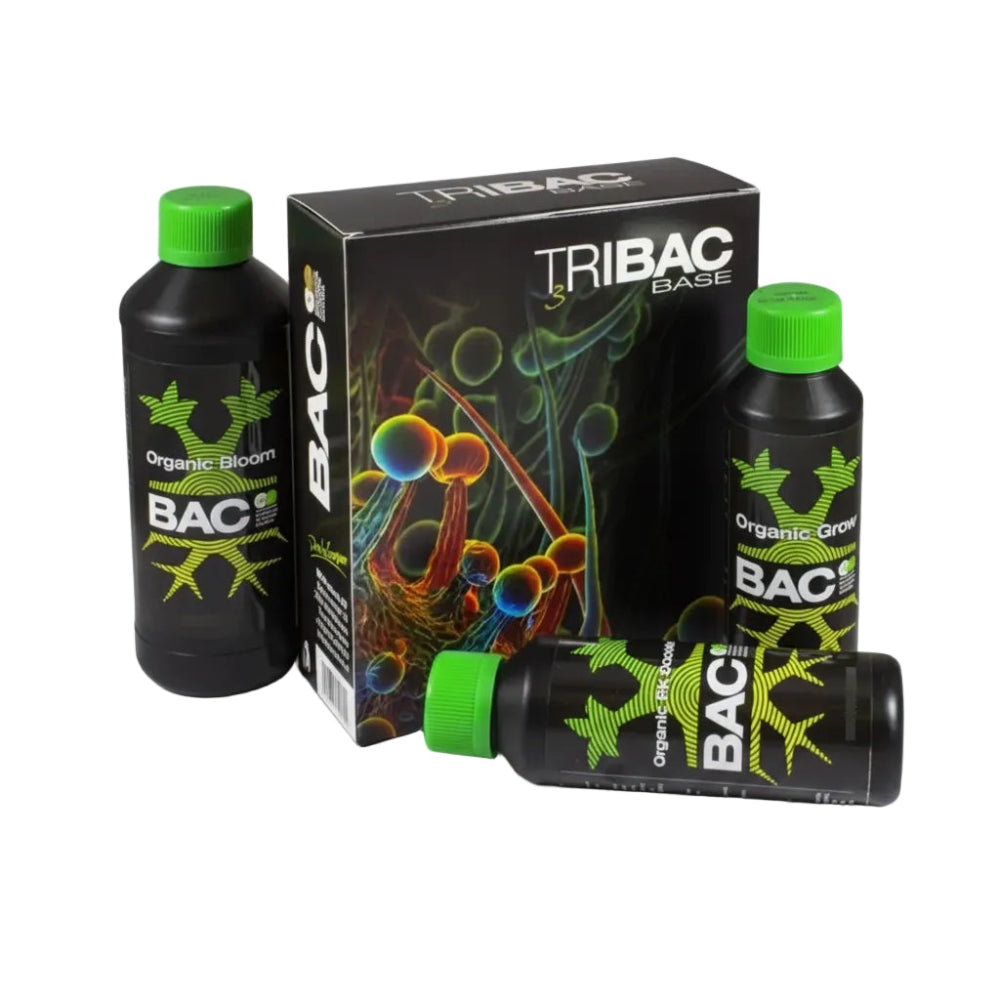 TRIBAC - BAC-1